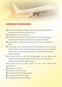 Important information regarding flight tickets